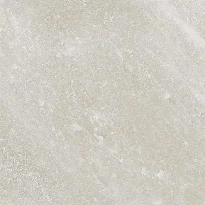 Salt Stone Grey Ash Naturale 80x80